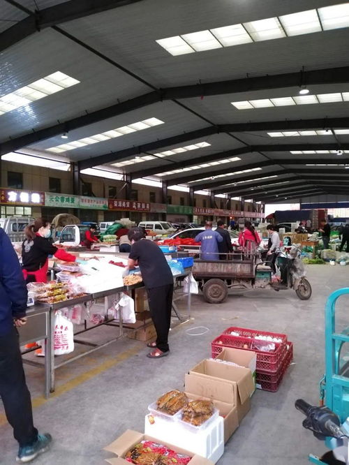 中貿農產品綜合批發市場 從基地到市場，蔬菜區一站式采購與每日參考價解析