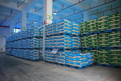 訂單引領，品牌賦能 四川豐裕公司助力大英打造“天府糧倉”食用農產品批發新高地